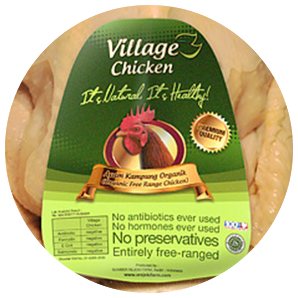 Village Chicken Sumber Rejeki Farm